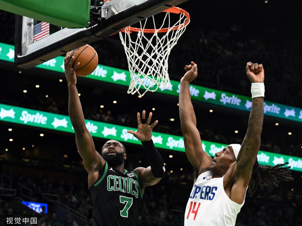 西雅图海鹰 西雅图海鹰